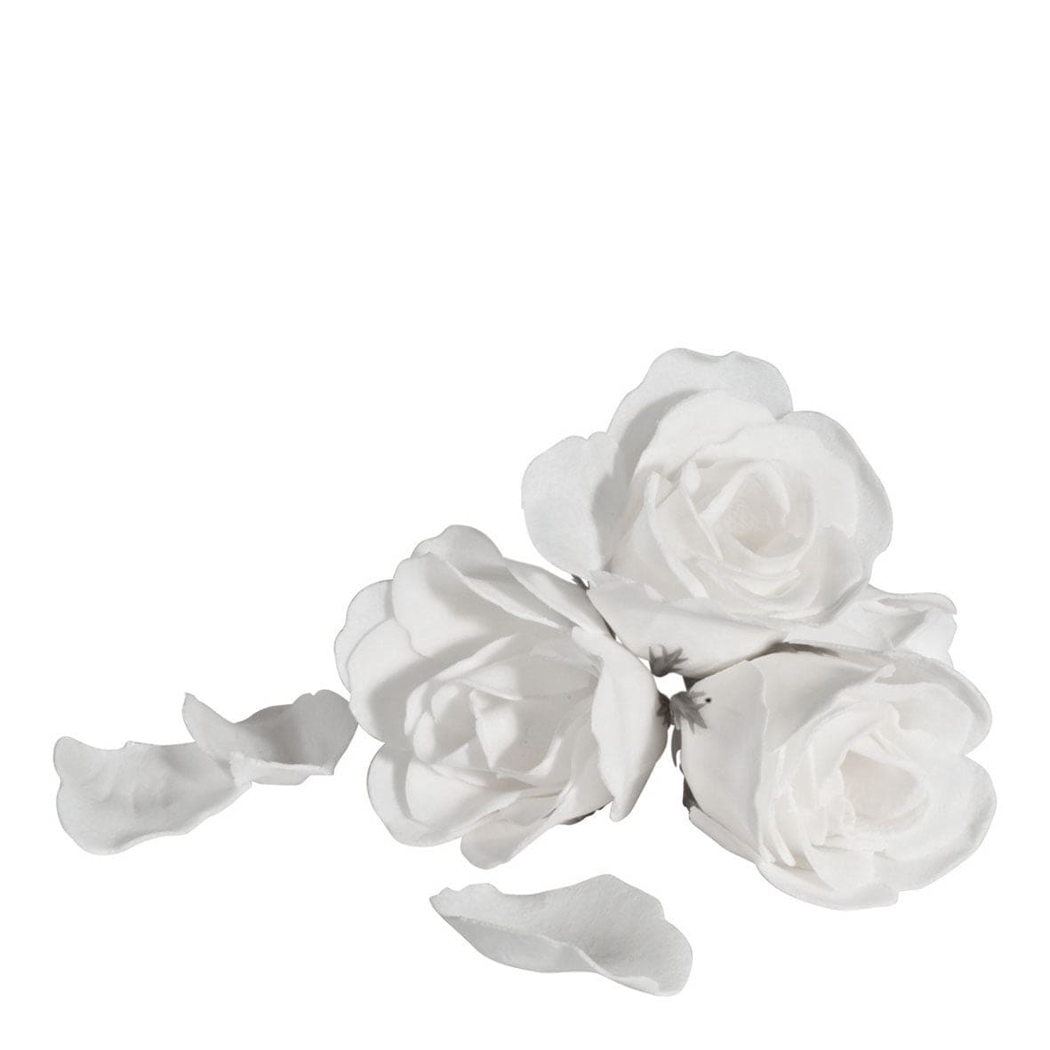 Rose in Soap Petals.