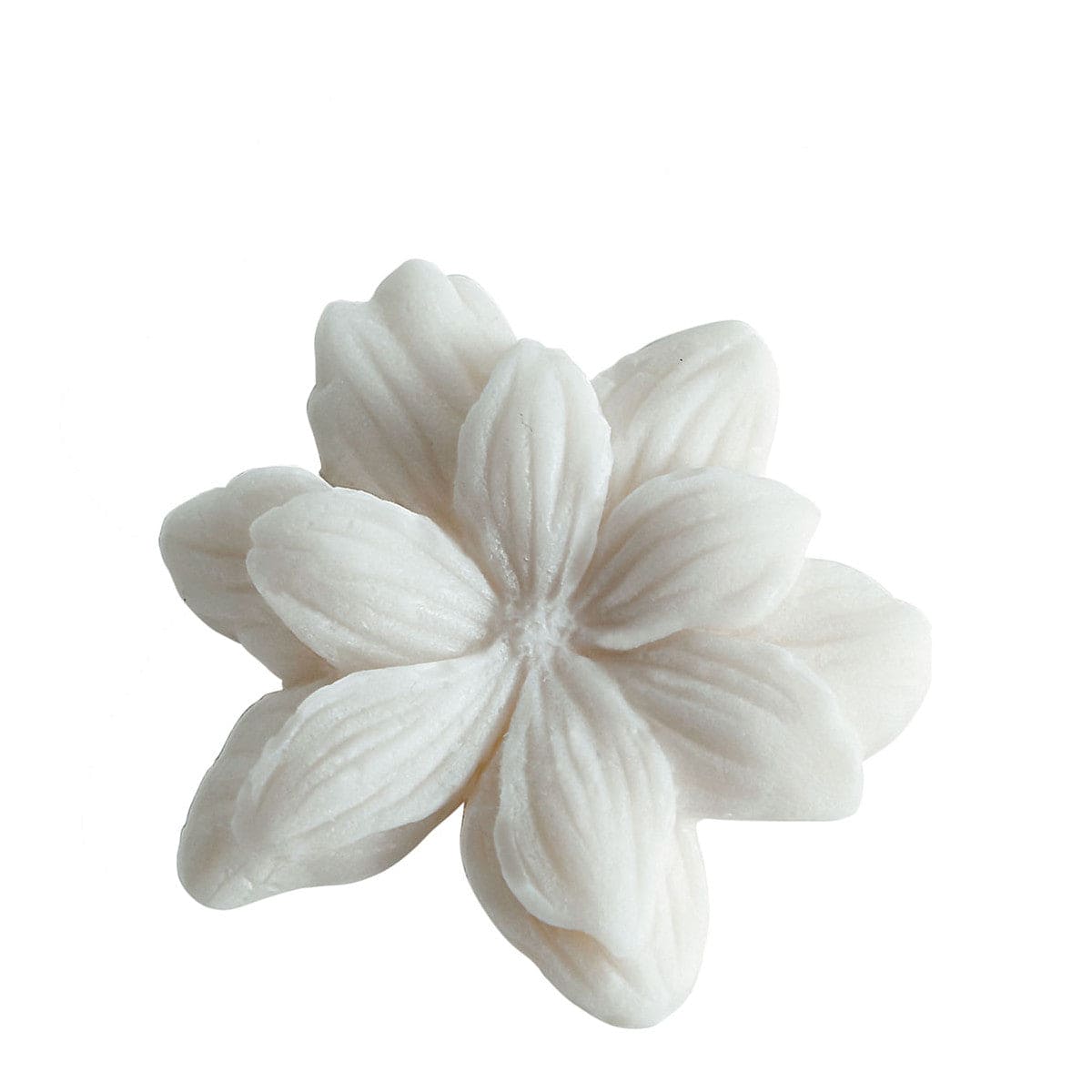 Box of 4 Jasmine Melting Decorations in Scented Wax - Sublime Jasmin..